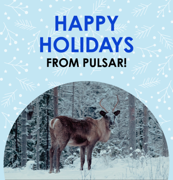 We wish you to have the merriest holidays!